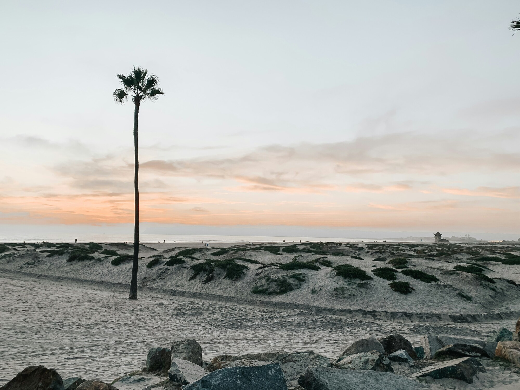 Coronado sand dunes