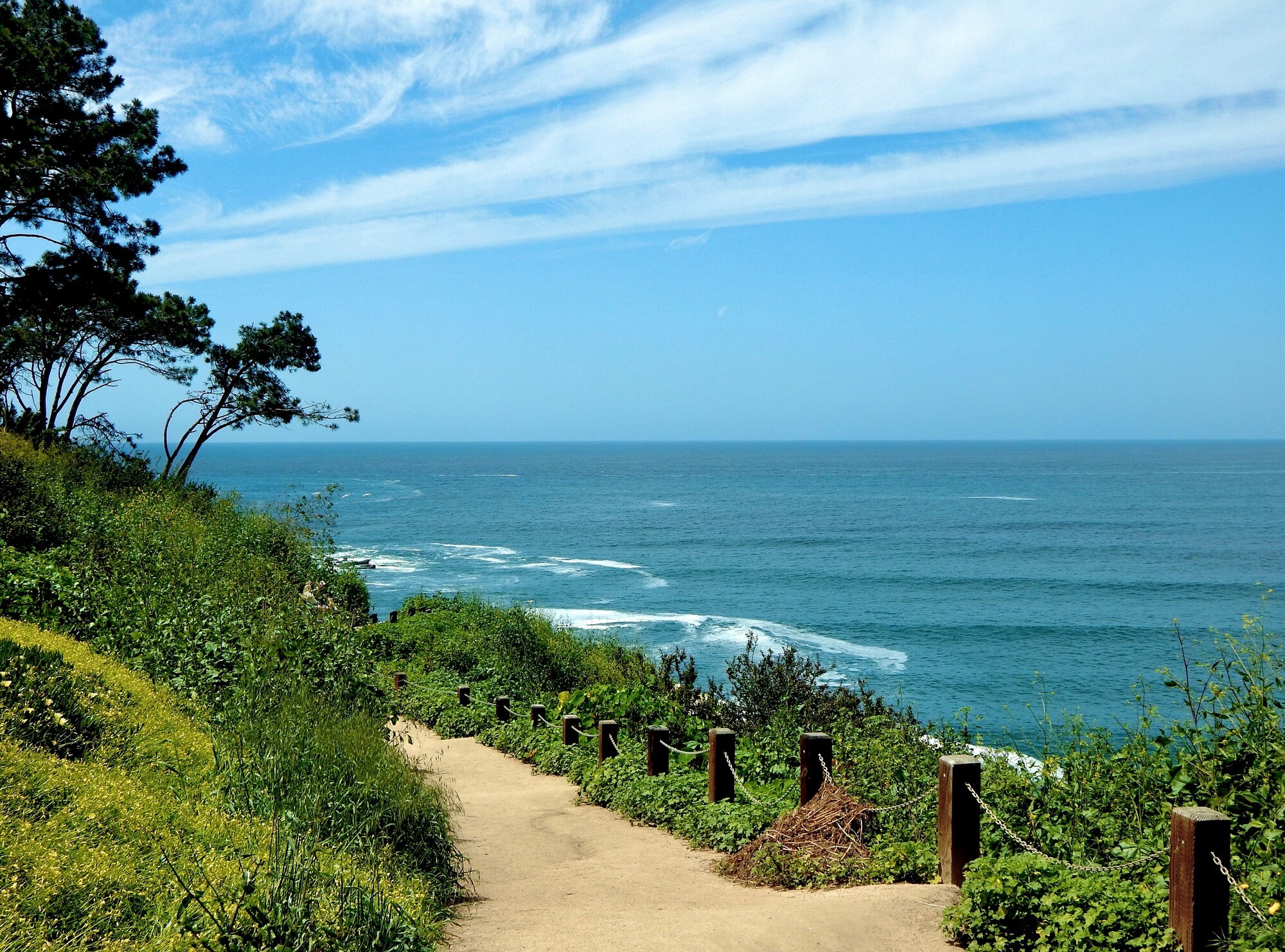 Scripps coastal meander